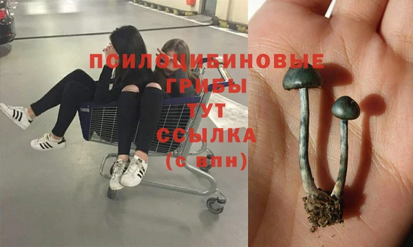 герыч Баксан